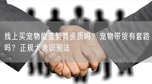 线上买宠物能查繁育资质吗？宠物带货有套路吗？正规犬舍识别法