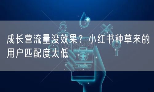 成长营流量没效果?小红书种草来的用户匹配度太低