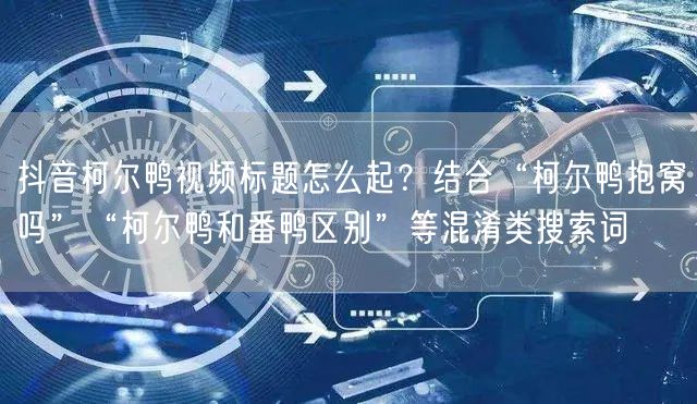 抖音柯尔鸭视频标题怎么起?结合“柯尔鸭抱窝吗”“柯尔鸭和番鸭区别”等混淆类搜索词