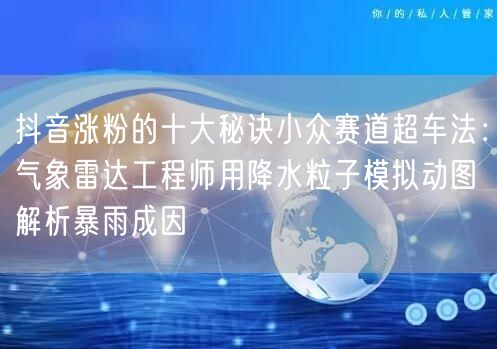 抖音涨粉的十大秘诀小众赛道超车法：气象雷达工程师用降水粒子模拟动图解析暴雨成因