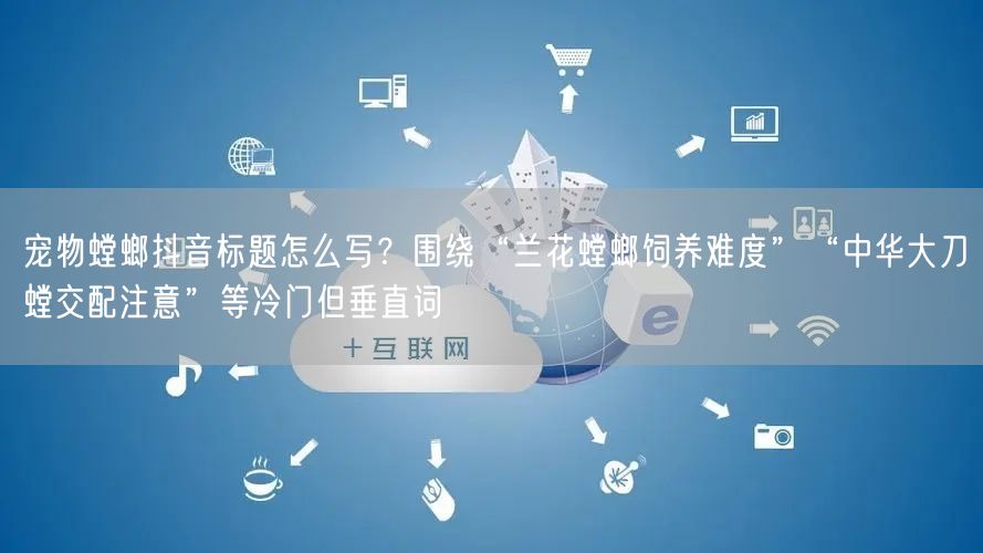 宠物螳螂抖音标题怎么写?围绕“兰花螳螂饲养难度”“中华大刀螳交配注意”等冷门但垂