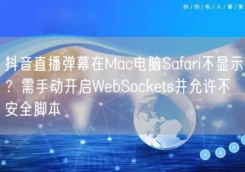 抖音直播弹幕在Mac电脑Safari不显示?需手动开启WebSockets并允许