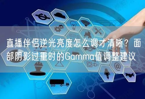 直播伴侣逆光亮度怎么调才清晰?面部阴影过重时的Gamma值调整建议