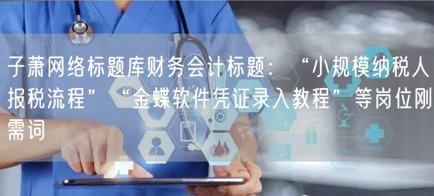 子萧网络标题库财务会计标题:“小规模纳税人报税流程”“金蝶软件凭证录入教程”等岗