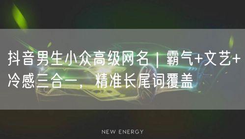 抖音男生小众高级网名|霸气+文艺+冷感三合一,精准长尾词覆盖