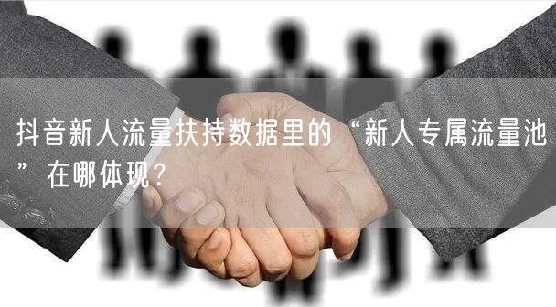 抖音新人流量扶持数据里的“新人专属流量池”在哪体现?