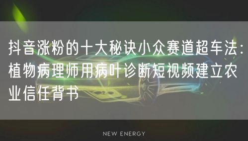 抖音涨粉的十大秘诀小众赛道超车法:植物病理师用病叶诊断短视频建立农业信任背书
