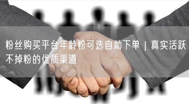 粉丝购买平台年龄粉可选自助下单|真实活跃不掉粉的优质渠道