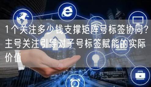 1个关注多少钱支撑矩阵号标签协同?主号关注引导对子号标签赋能的实际价值