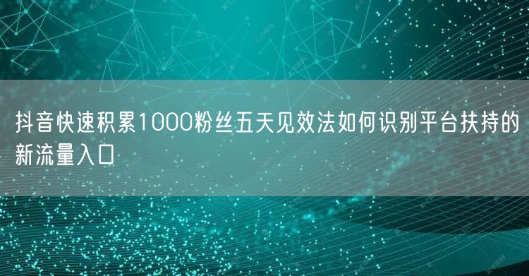 抖音快速积累1000粉丝五天见效法如何识别平台扶持的新流量入口