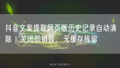 抖音文案提取网页版历史记录自动清除｜关闭即销毁，无缓存残留