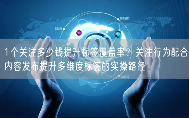 1个关注多少钱提升标签覆盖率？关注行为配合内容发布提升多维度标签的实操路径