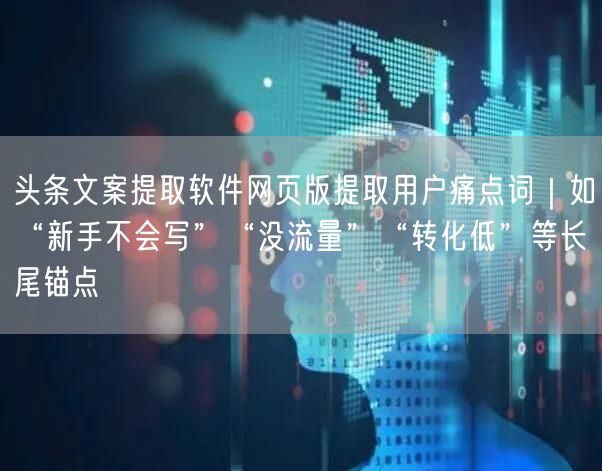 头条文案提取软件网页版提取用户痛点词|如“新手不会写”“没流量”“转化低”等长尾
