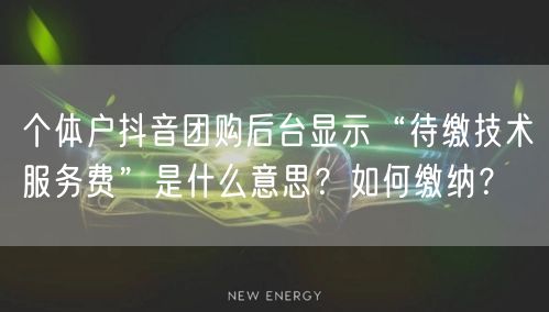 个体户抖音团购后台显示“待缴技术服务费”是什么意思？如何缴纳？