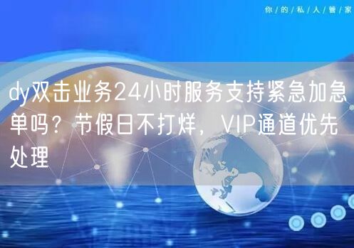 dy双击业务24小时服务支持紧急加急单吗?节假日不打烊,VIP通道优先处理