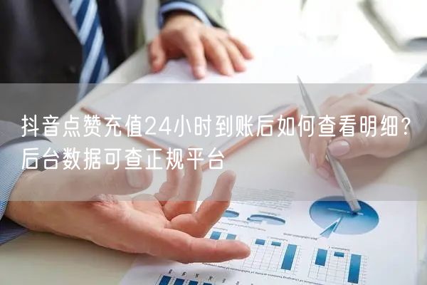抖音点赞充值24小时到账后如何查看明细?后台数据可查正规平台